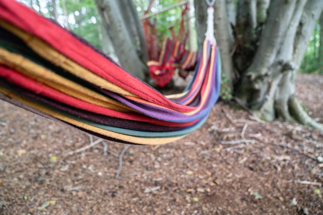 Gite Calypso De 14 Personnes Fecamp Etretat Colleville Exterior foto
